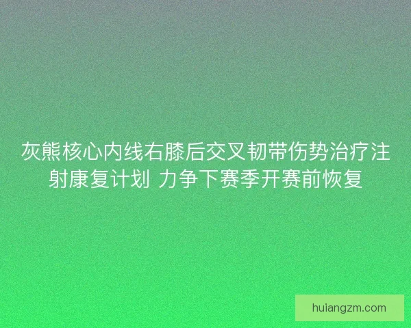 灰熊核心内线右膝后交叉韧带伤势治疗注射康复计划 力争下赛季开赛前恢复